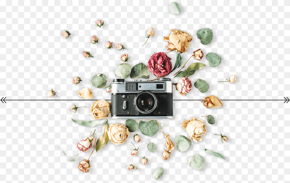 Camera Graphic For Our Wedding Photography, Electronics, Flower, Plant, Rose Png Image