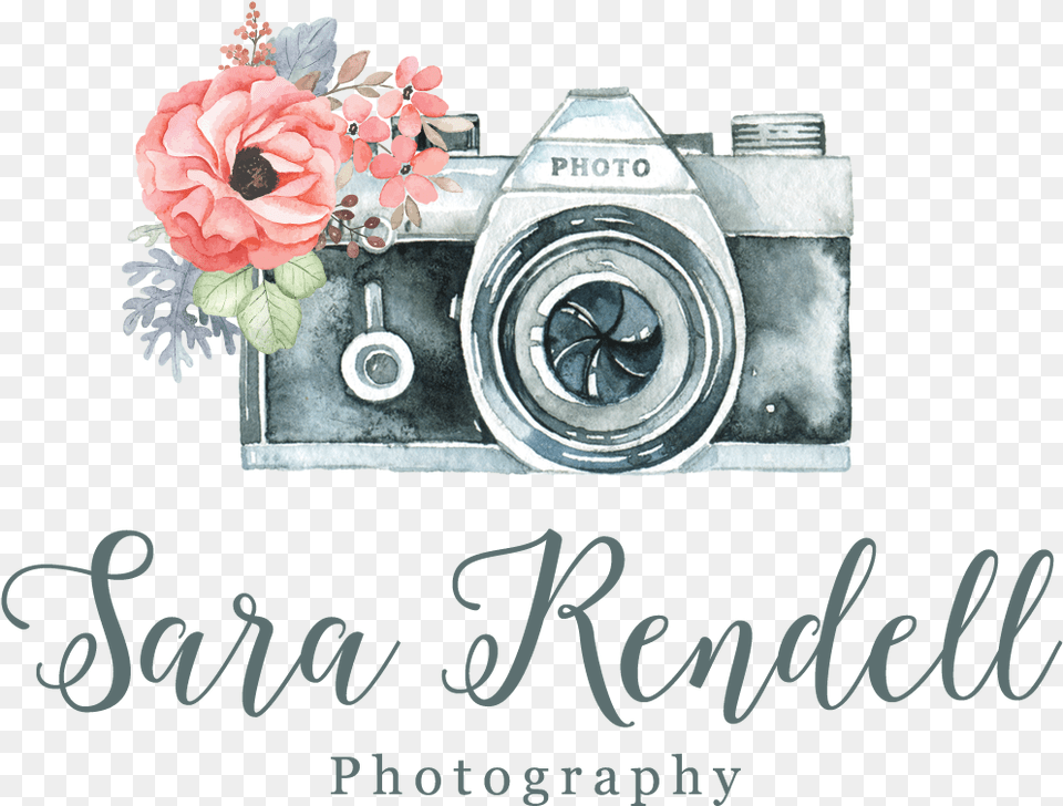 Camera Logo Design Photography Logo Hd, Flower, Plant, Rose, Flower Arrangement Free Png Download