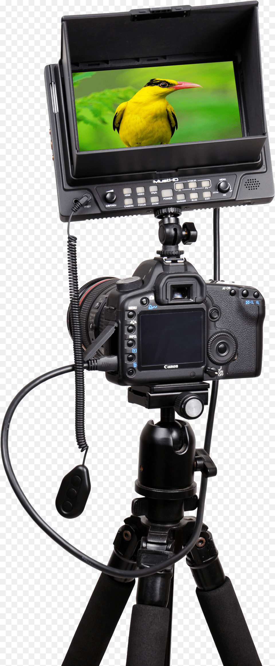 Camera On Tripod Free Transparent Png