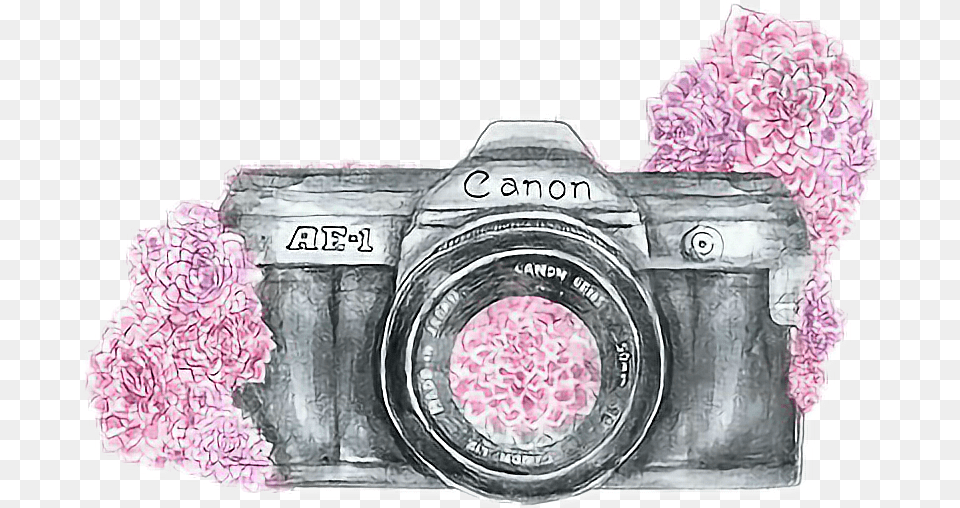 Camerastickers Cute Camera Drawing Camera Background, Electronics, Digital Camera, Flower, Plant Png Image