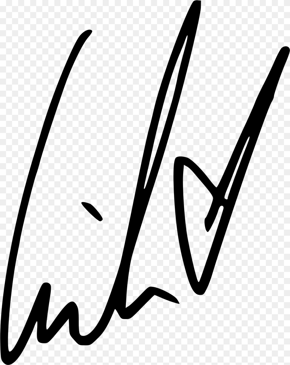 Camila Cabello Signature, Gray Png