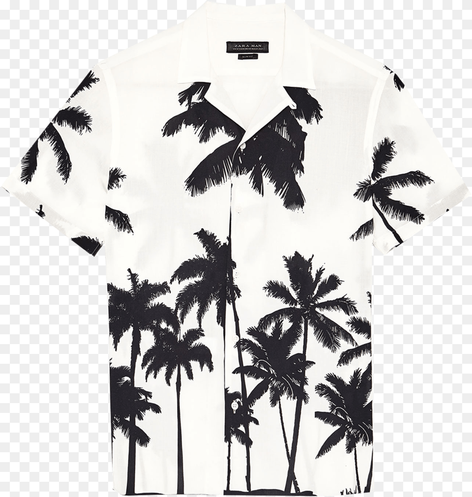 Camisas Zara Hombre Palmeras Download Camisa Blanca Con Palmeras Negras Hombre, Beachwear, Clothing, Palm Tree, Plant Free Transparent Png