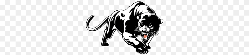 Camiseta Black Panther Black Jaguar Drawing, Animal, Mammal, Wildlife, Stencil Png Image