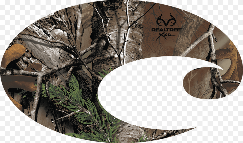 Camo, Nature, Night, Outdoors, Disk Free Png