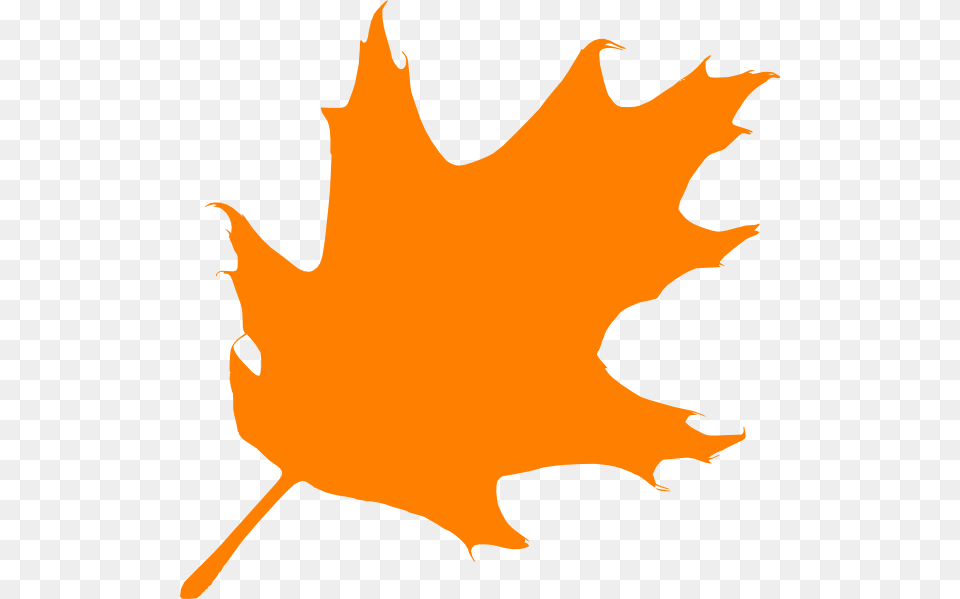 Camo Leaf Stencils, Maple Leaf, Plant, Tree, Animal Free Png