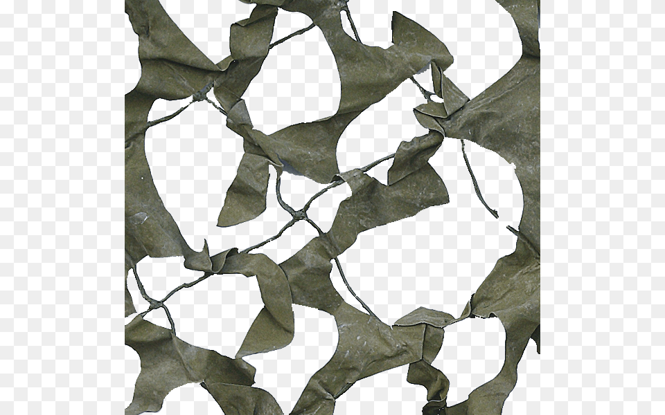 Camo Net Transparent Camo Net, Paper, Animal, Horse, Mammal Png Image