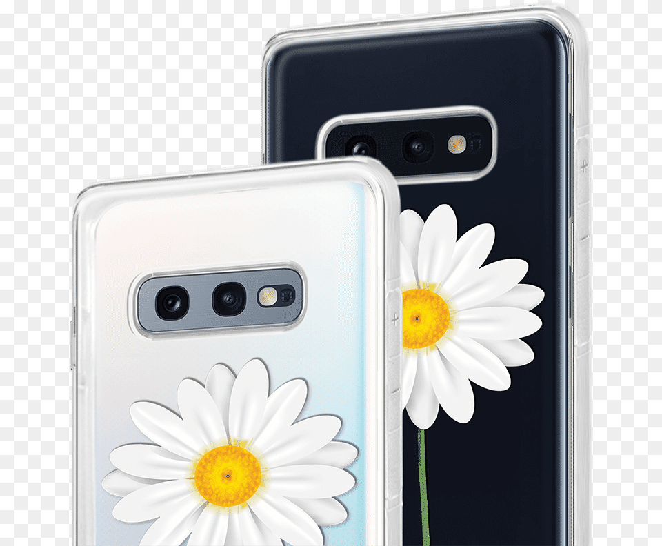 Camomile, Daisy, Electronics, Flower, Mobile Phone Png
