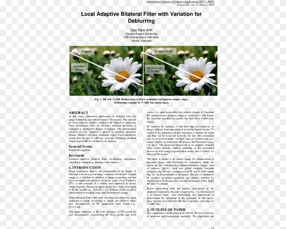 Camomile, Daisy, Flower, Plant, Anemone Free Transparent Png