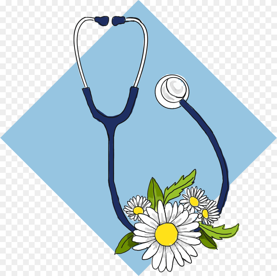Camomile, Stethoscope Free Png