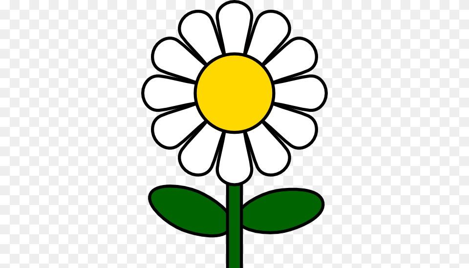 Camomile Clipart Single, Daisy, Flower, Plant, Ammunition Free Png Download