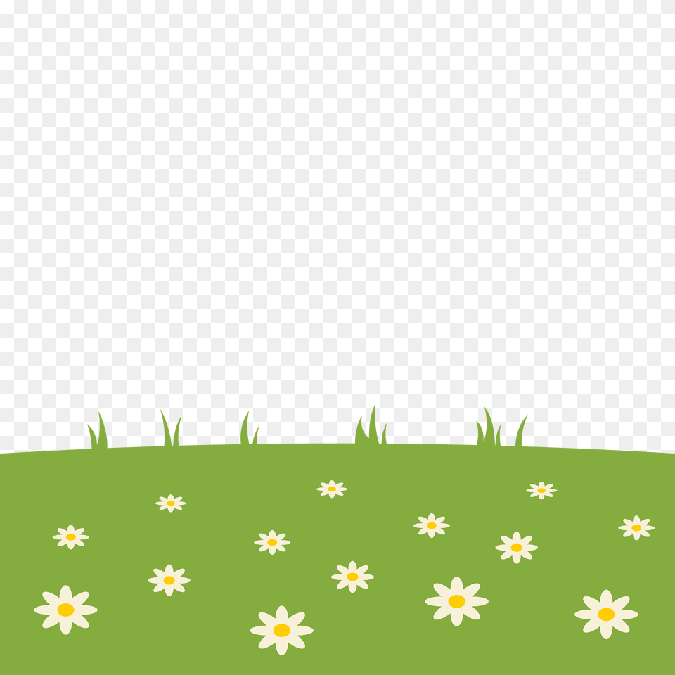 Camomile Field Clipart, Art, Pattern, Green, Grass Png Image
