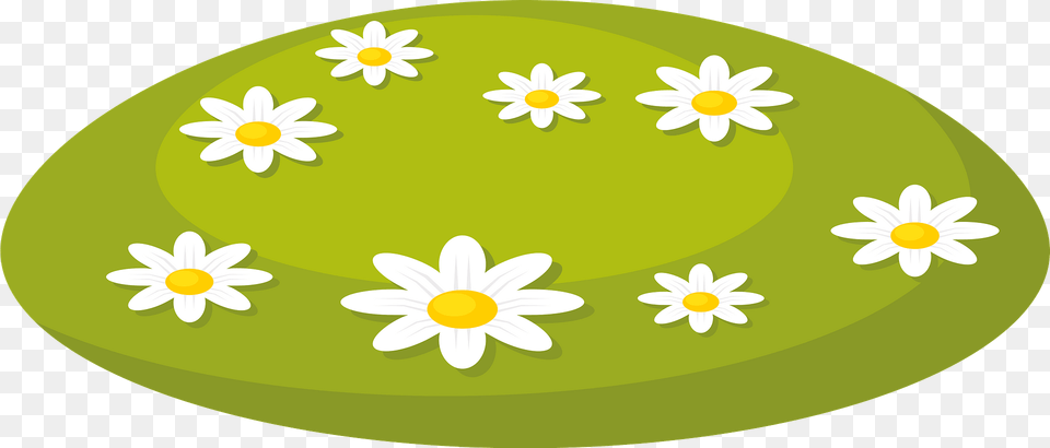 Camomile Field Clipart, Daisy, Flower, Plant, Egg Png
