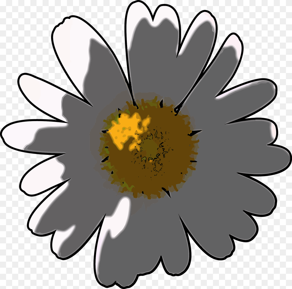 Camomile Flower Clipart, Anther, Daisy, Plant, Anemone Png Image