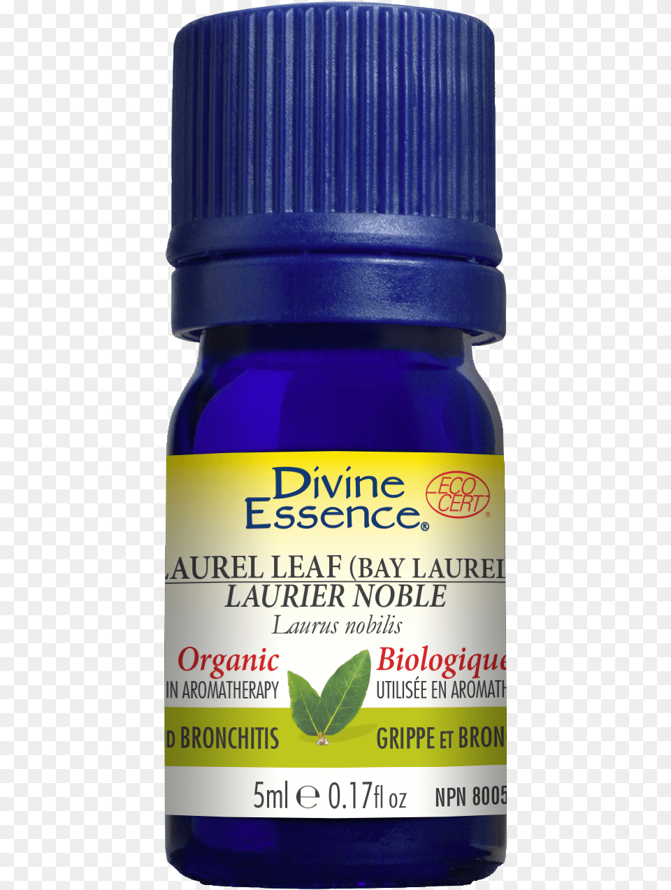 Camomille Bleue Huile Essentielle, Herbal, Herbs, Plant, Astragalus Png Image