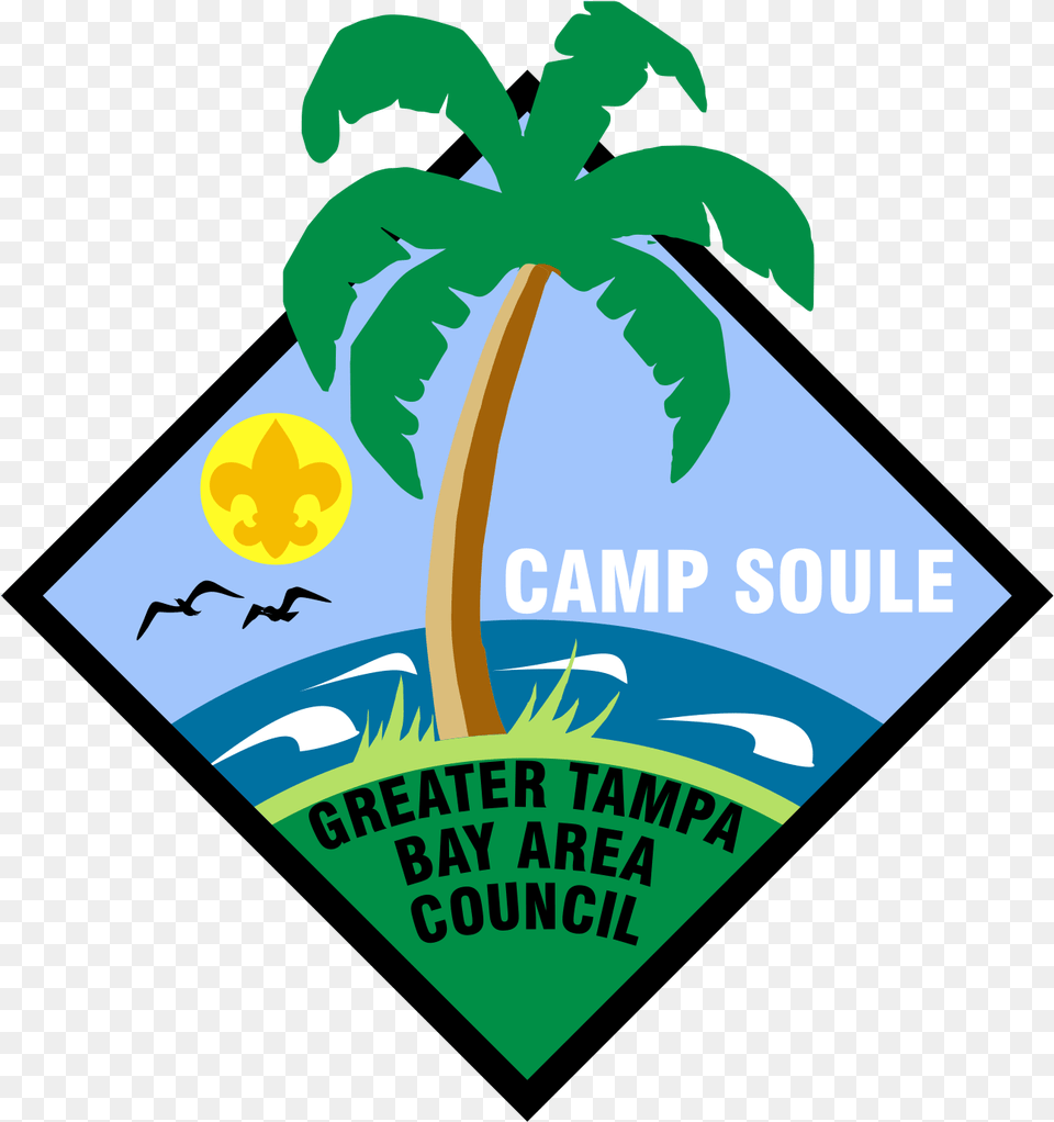 Camp Soule Fresh, Advertisement, Poster, Palm Tree, Plant Png Image