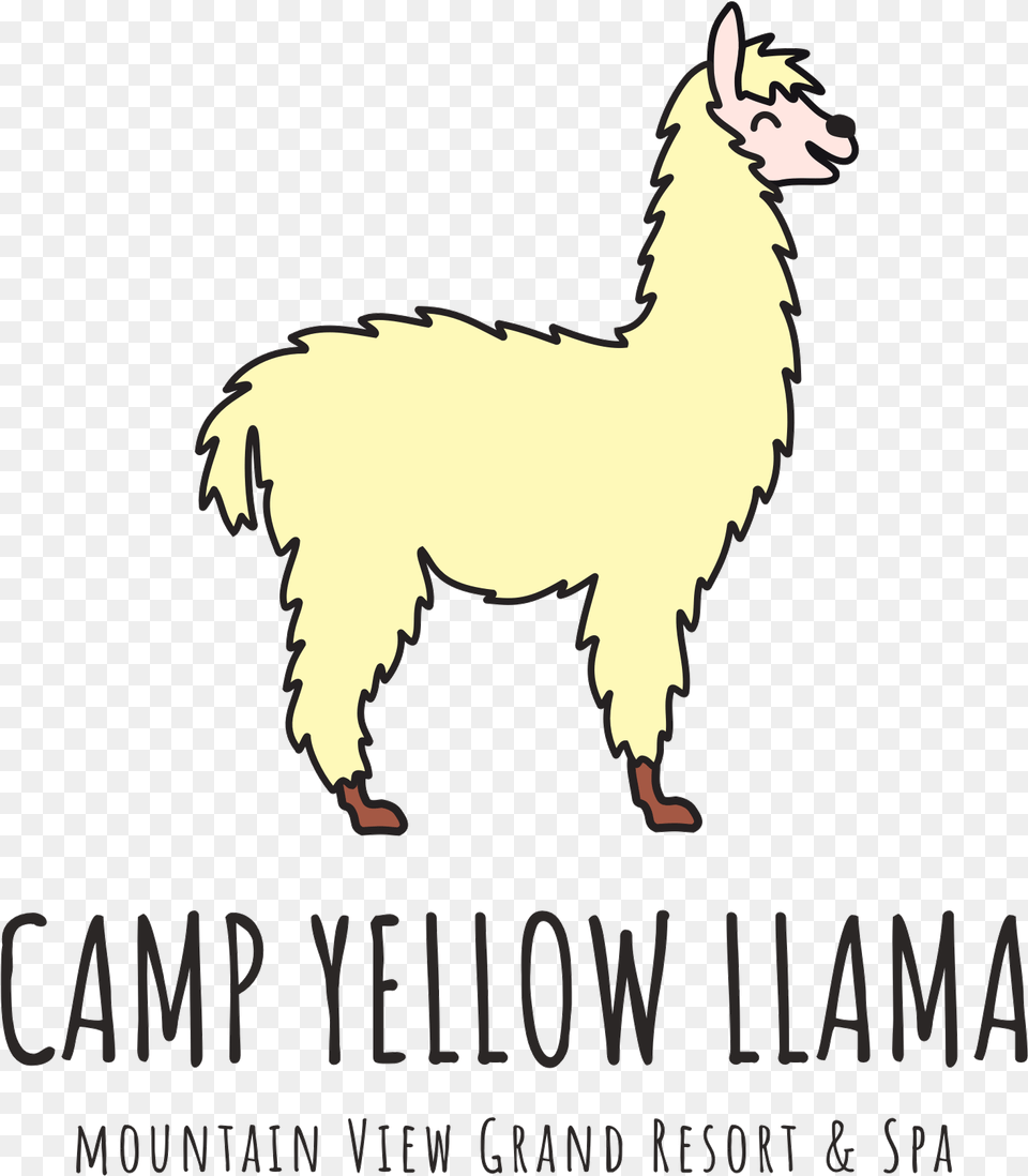 Camp Yellow Llama Logo Drawing Alpacas, Animal, Mammal, Kangaroo Free Png Download