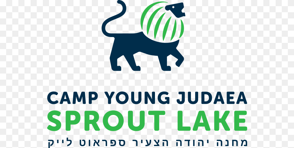 Camp Young Judaea Sprout Lake, Baby, Person, Advertisement, Poster Png