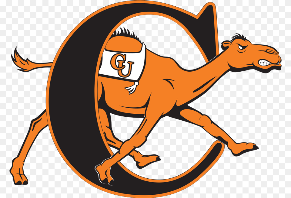 Campbell Fighting Camels, Animal, Camel, Mammal, Person Png