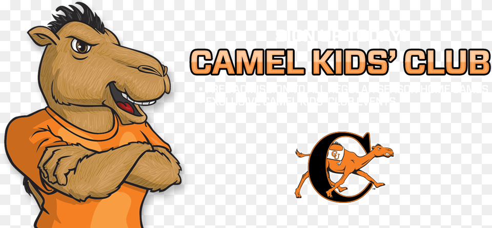 Campbell Fighting Camels And Lady Camels Adult, Female, Person, Woman Free Png Download