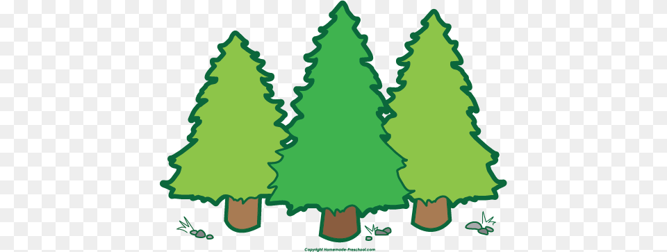 Camping Clipart, Tree, Plant, Green, Fir Free Transparent Png