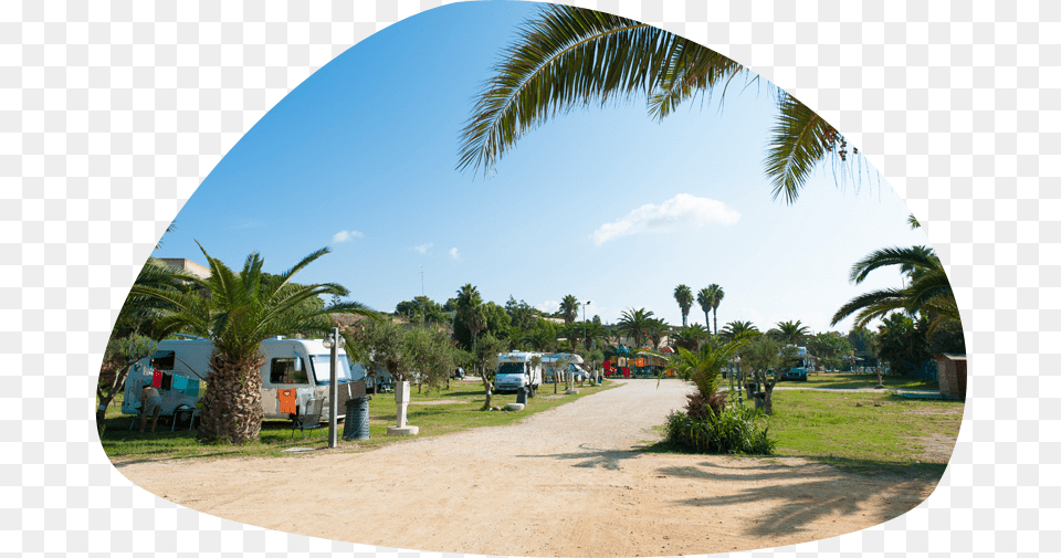 Camping Con Area Camper E Caravan Attalea Speciosa, Palm Tree, Tree, Summer, Garden Free Png