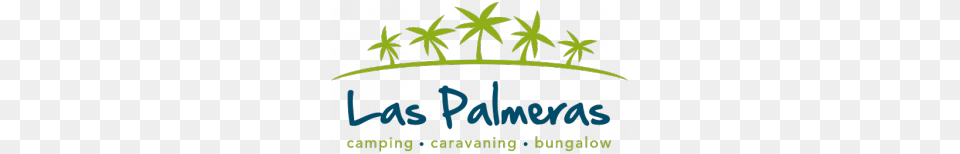 Camping In Tarragona Las Palmeras Nearby To Port Aventura, Leaf, Plant, Weed, Vegetation Png
