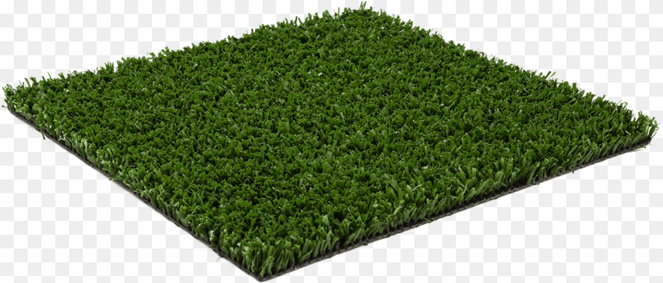 Campo Artificial Turf, Moss, Plant, Vegetation, Grass Free Transparent Png