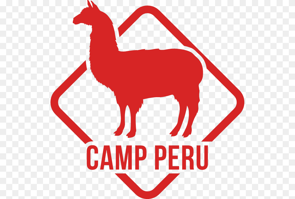 Camps International Camp Peru, Animal, Kangaroo, Mammal Png
