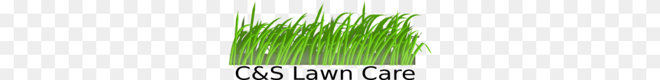 Camps Lawn Care Clip Art, Grass, Green, Moss, Plant Free Transparent Png