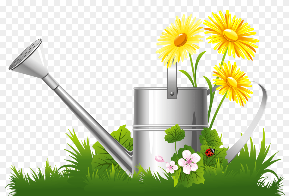 Can Clipart Full, Tin, Daisy, Flower, Plant Free Png Download