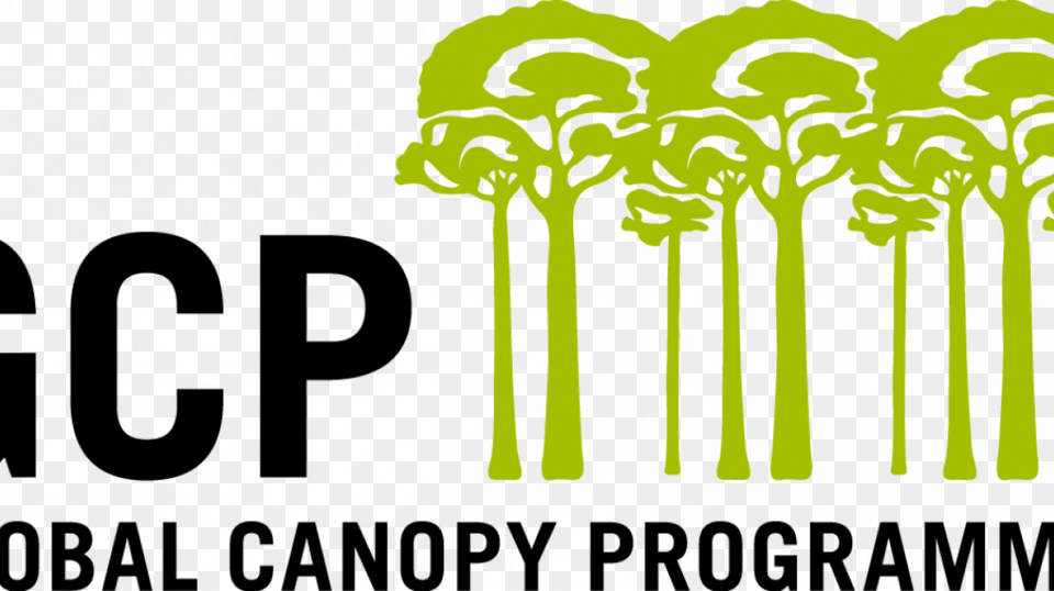 Can Companies Achieve Zero Deforestation In Their Supply Global Canopy Programme, Person, Green, Face, Head Free Transparent Png