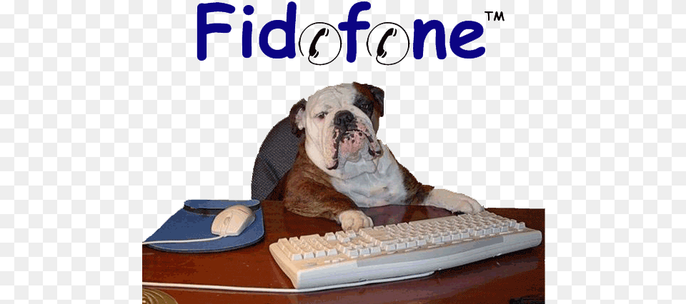 Can Now Visit Your Pet With Our Virtual Pet Visiting Funny Bulldog, Computer Keyboard, Hardware, Electronics, Computer Png Image