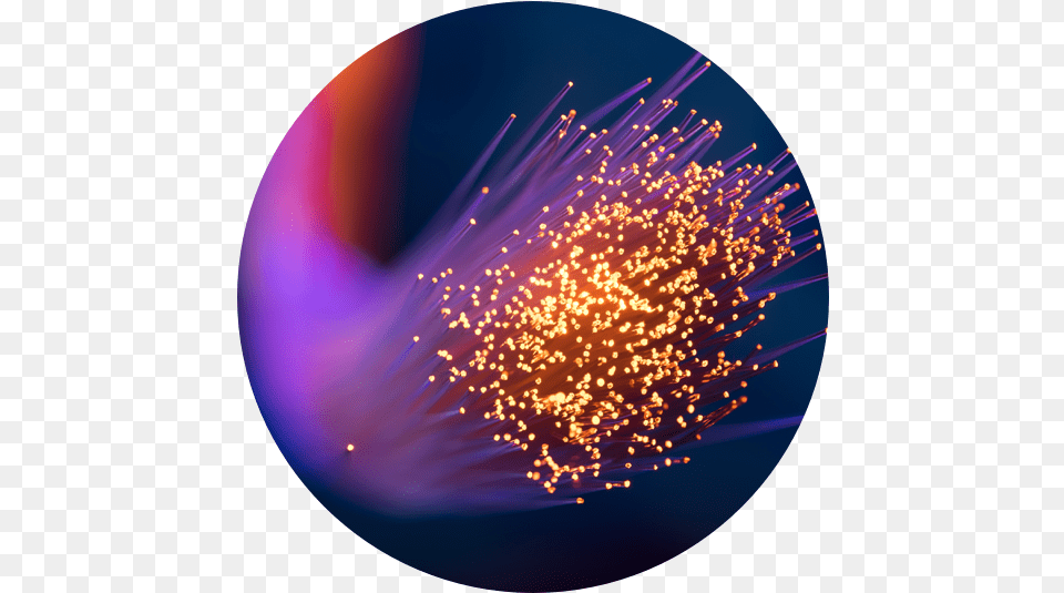 Can You Get Better Broadband Right Now Chorus Large Amounts Of Data, Plant, Pollen, Sphere, Disk Png