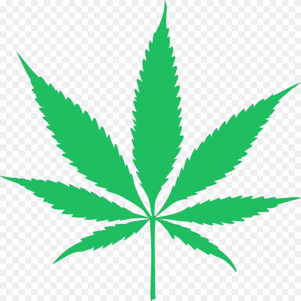 Canabis Leaf Vector Background Cannabis Leaf, Plant, Weed, Herbal, Herbs Png