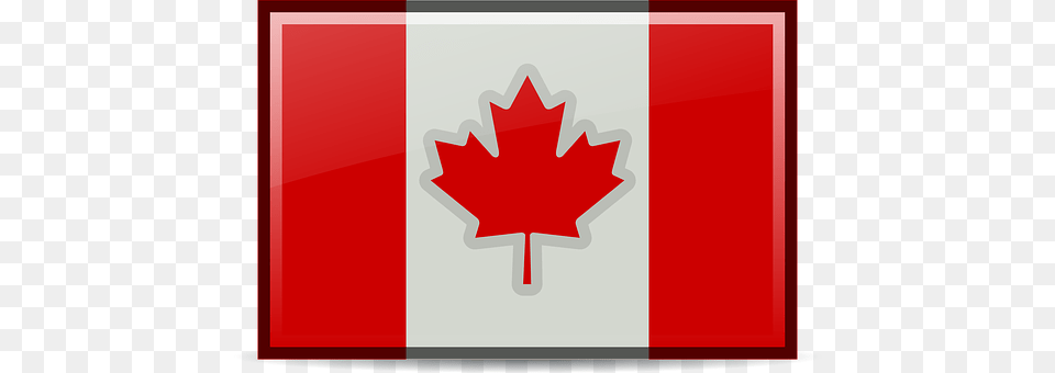 Canada Leaf, Plant, First Aid Png