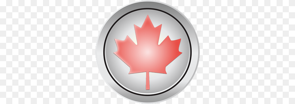 Canada Leaf, Plant Free Png Download