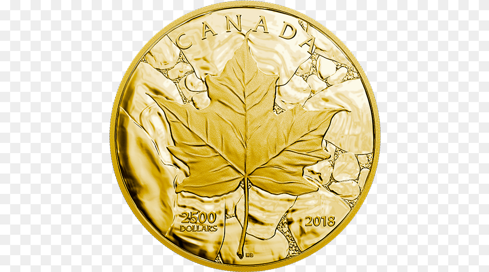 Canada 1kg Gold Coin, Leaf, Plant Free Png Download