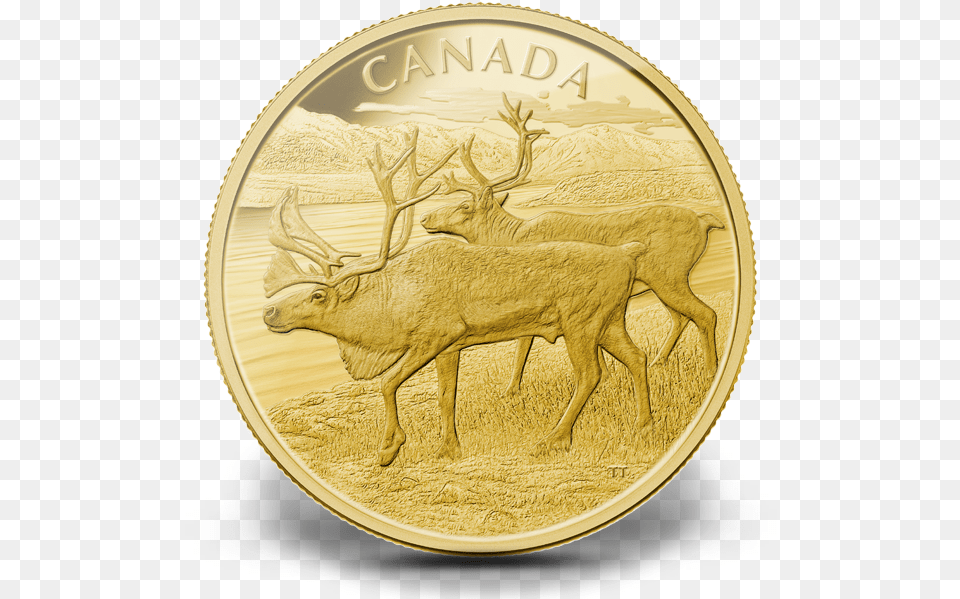 Canada 2013 Caribou Proof Gold 1 Kg Coin, Animal, Antelope, Mammal, Wildlife Free Transparent Png