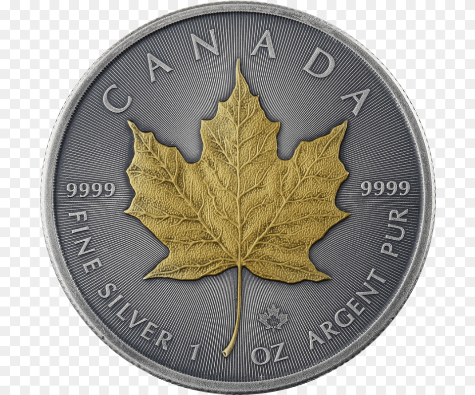 Canada 2019 Maple Leaf Ag999 1oz Antique Gold Kurowski Coin, Plant, Money Png