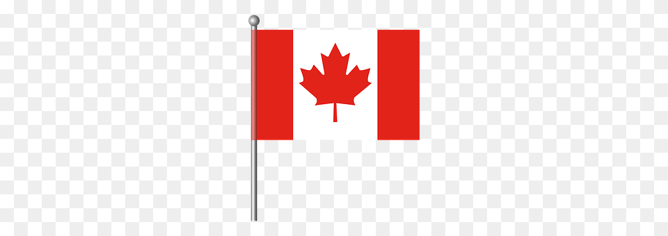 Canada Leaf, Plant, Flag Free Png