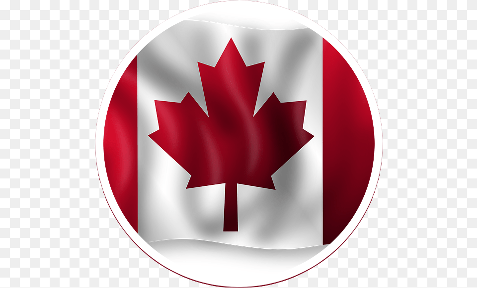 Canada Arabie Saoudite High Resolution Canadian Flag, Leaf, Plant, Maple Leaf, First Aid Png