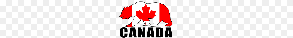 Canada Bear Canada Flag, Leaf, Plant, Logo, First Aid Png Image