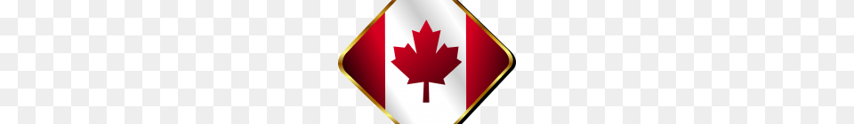 Canada Clipart Canadian Flag In The Wind Veterans Day Clipart Leaf, Plant, Symbol Free Png