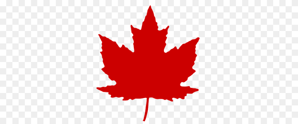Canada Clipart Leaves, Leaf, Plant, Maple Leaf, Tree Free Transparent Png