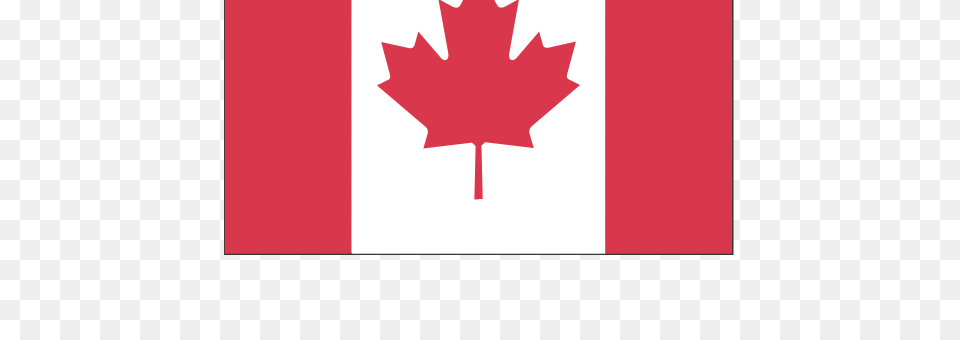Canada Country Flag Icon With And Vector Format For, Leaf, Plant, Maple Leaf Free Png