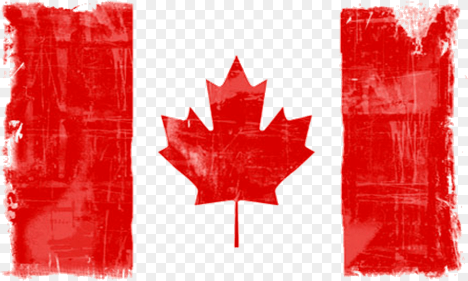 Canada Flag, Leaf, Plant, Tree Free Png