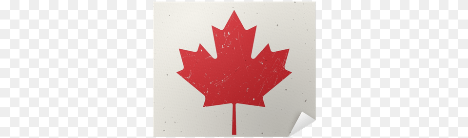 Canada Flag, Leaf, Maple Leaf, Plant, Tree Png