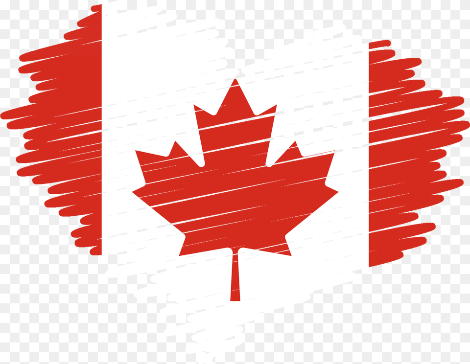 Canada Flag, Leaf, Plant, Tree, Maple Leaf Free Png
