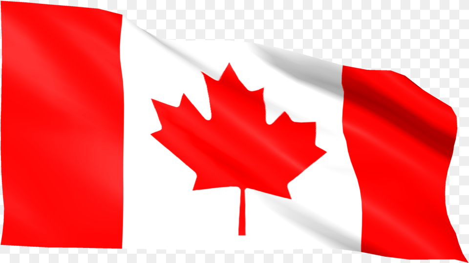 Canada Flag By Mtc Tutorials Detroitwindsor Tunnel, Leaf, Plant Free Transparent Png