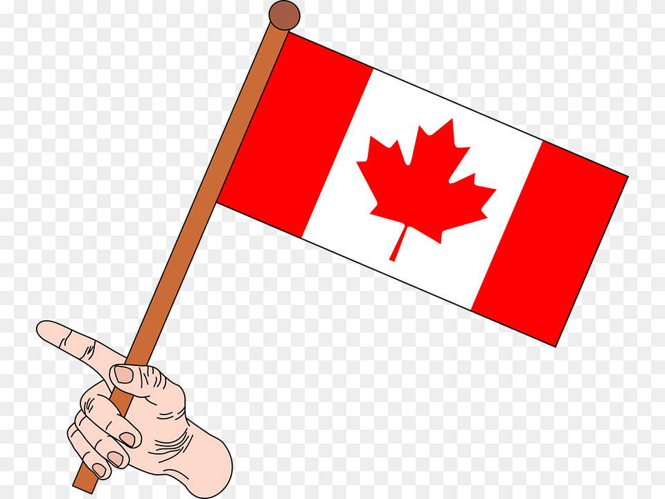Canada Flag Canada Flag, Leaf, Plant, Baby, Person Free Png